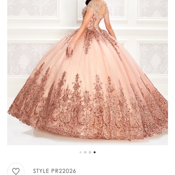 Ariana Vara - Picture 2 of 4